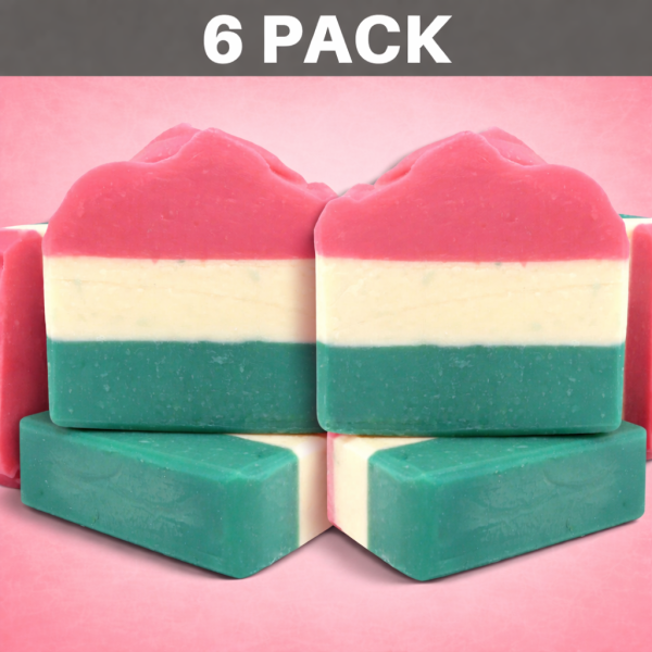 TANsafe Soap - Watermelon_6 pack_FINAL_with shadow Colour Me Bronze Professional - Watermelon - 6 pack